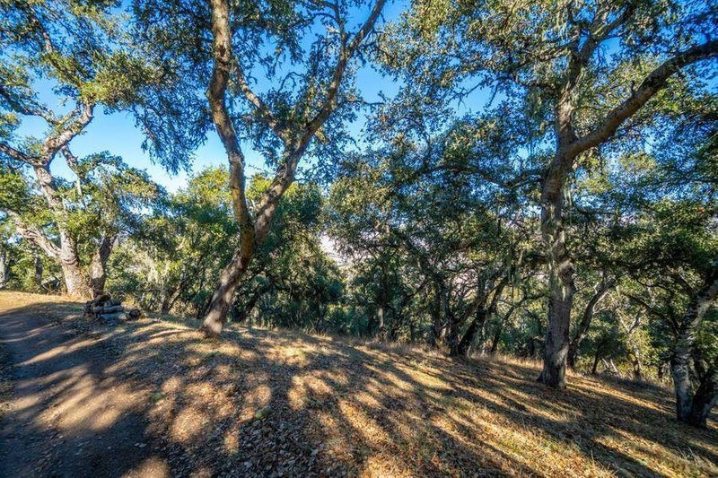 17114 Cachagua Road