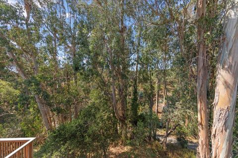 Tiny photo for 256 Segre Place, SANTA CRUZ, CA 95060 (MLS # ML82023171)