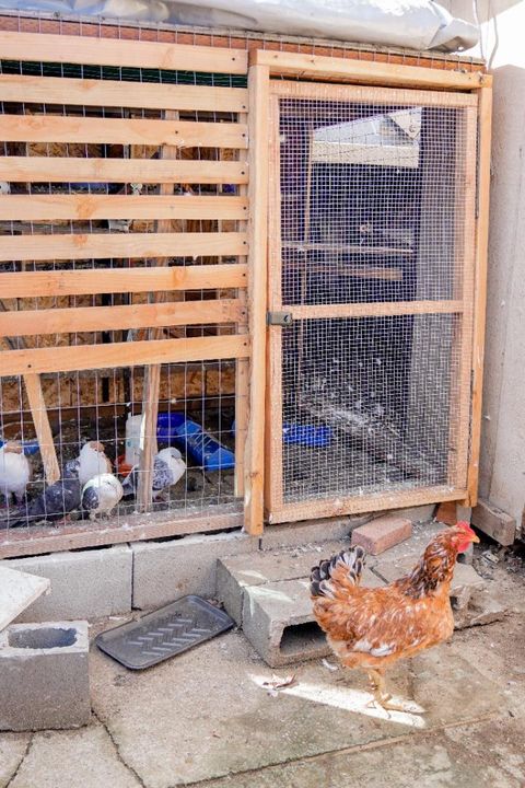 Tiny photo for 18940 Loree Avenue, CUPERTINO, CA 95014 (MLS # ML82036677)