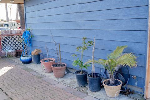 Tiny photo for 18940 Loree Avenue, CUPERTINO, CA 95014 (MLS # ML82036677)