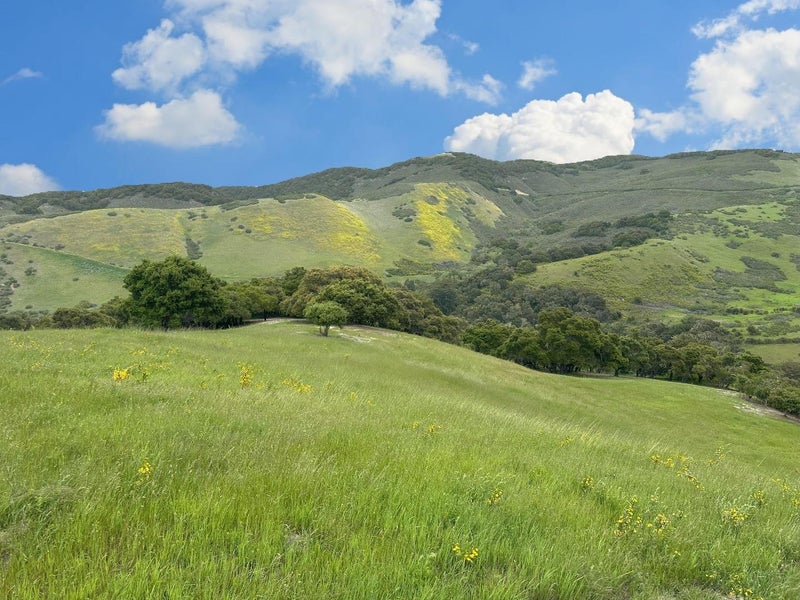 29 Potrero Trail