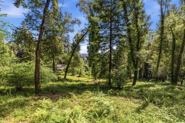 GARFIELD WAY, FELTON, CA 95018 - Image cab9c443d4fc2da22dbd76081a3c816a/1080684261
