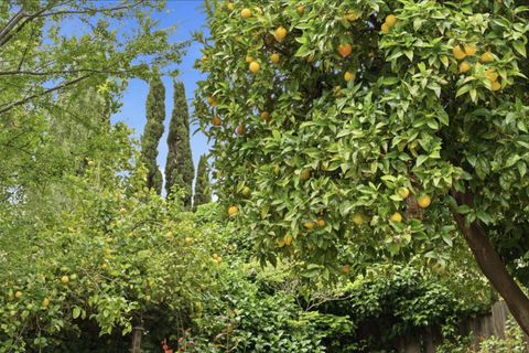 Tiny photo for 19113 San Miguel Avenue, CASTRO VALLEY, CA 94546 (MLS # ML82043388)