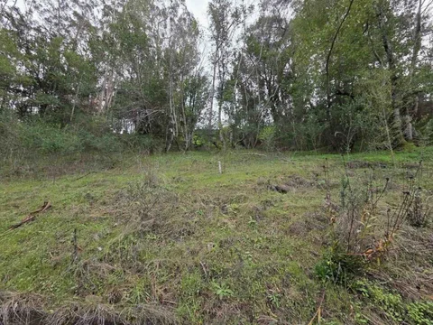 MLS: ML82060981