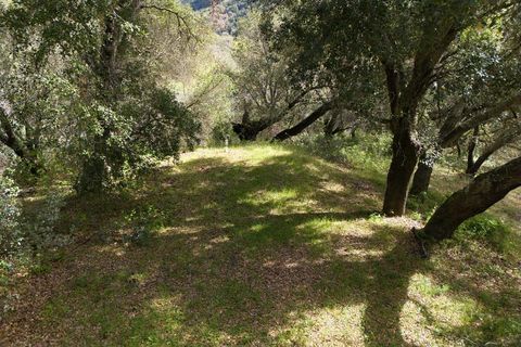 Tiny photo for 15805 Uvas Road, MORGAN HILL, CA 95037 (MLS # ML82035343)
