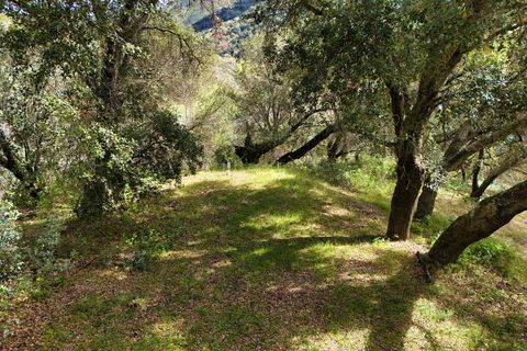 Tiny photo for 15805 Uvas Road, MORGAN HILL, CA 95037 (MLS # ML82035343)