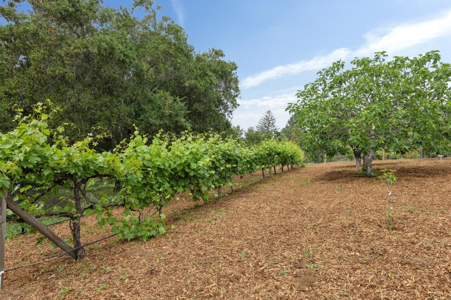 120 Deer Meadow Lane