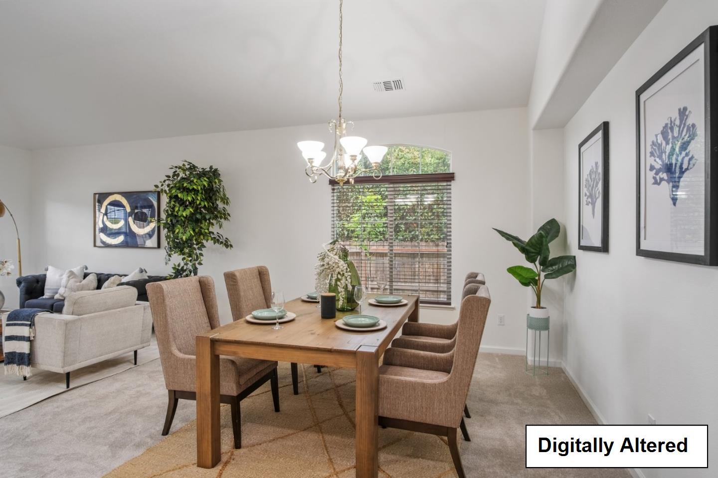 2114 Diego Court
