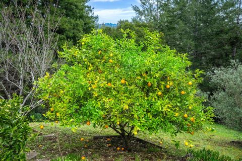 Tiny photo for 645 Skyward Drive, Aptos, CA 95003 (MLS # ML82035246)