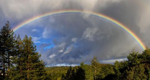 Tiny photo for 645 Skyward Drive, Aptos, CA 95003 (MLS # ML82035246)