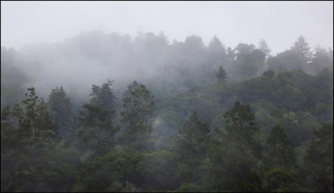 Tiny photo for 645 Skyward Drive, Aptos, CA 95003 (MLS # ML82035246)