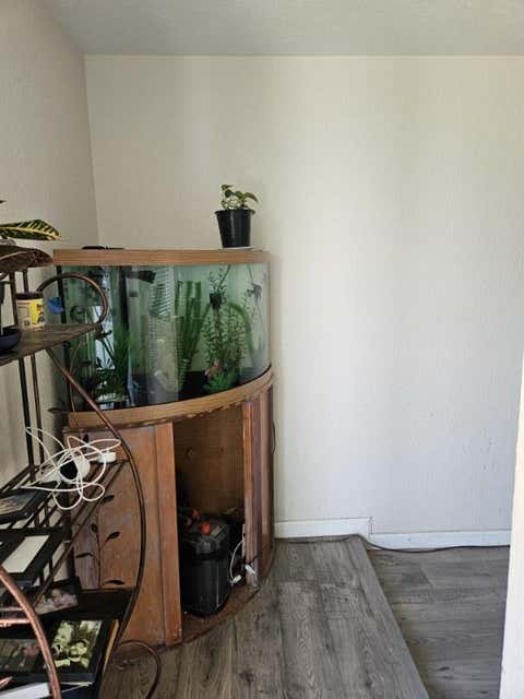 Tiny photo for 66 S Stearns Road, OAKDALE, CA 95361 (MLS # ML82051886)