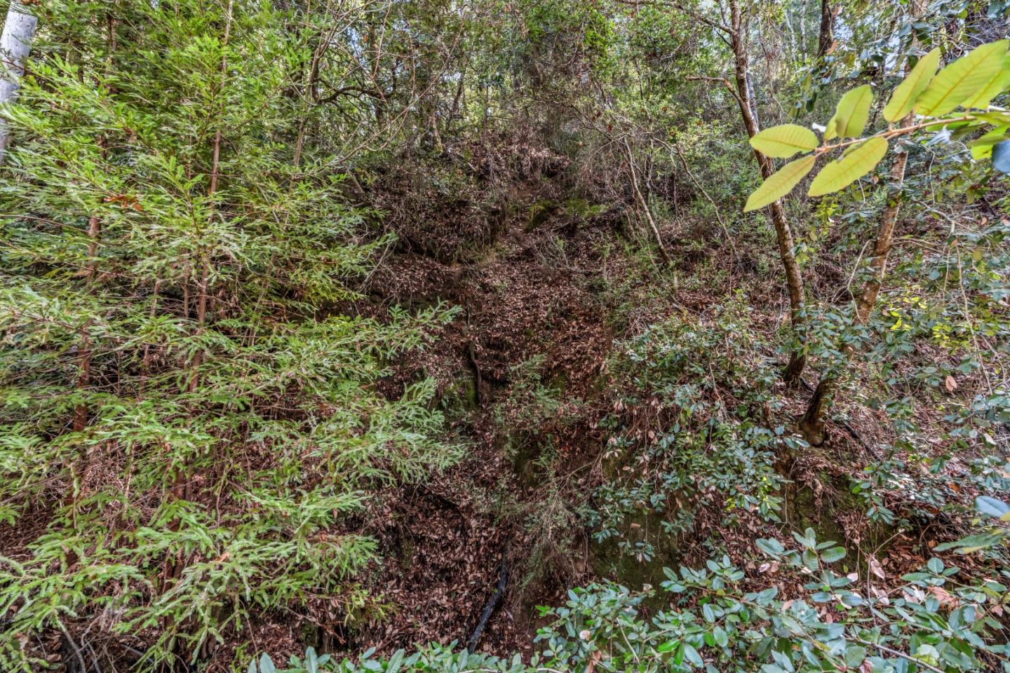 Lot 18 Antler Street