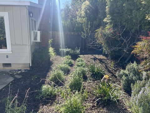 Tiny photo for 714 Live Oak Avenue, MENLO PARK, CA 94025 (MLS # ML82036867)