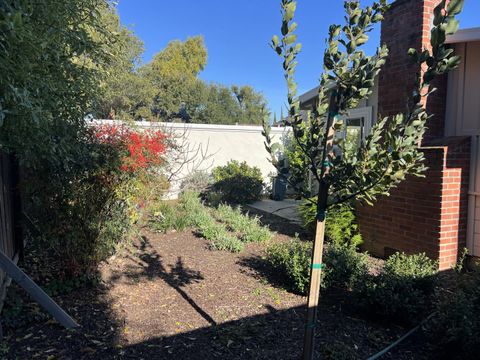 Tiny photo for 714 Live Oak Avenue, MENLO PARK, CA 94025 (MLS # ML82036867)