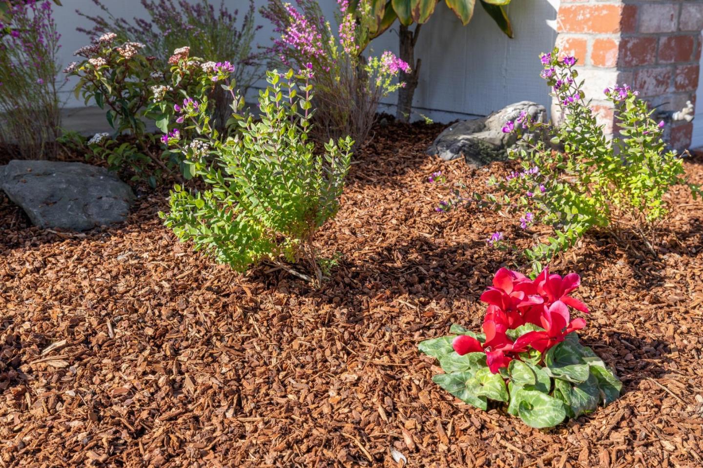 34373 Auckland Court