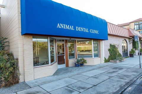 Photo of 987 Laurel Street, SAN CARLOS, CA 94070 (MLS # ML82027747)