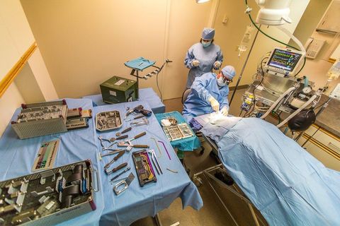 Tiny photo for 987 Laurel Street, SAN CARLOS, CA 94070 (MLS # ML82027747)