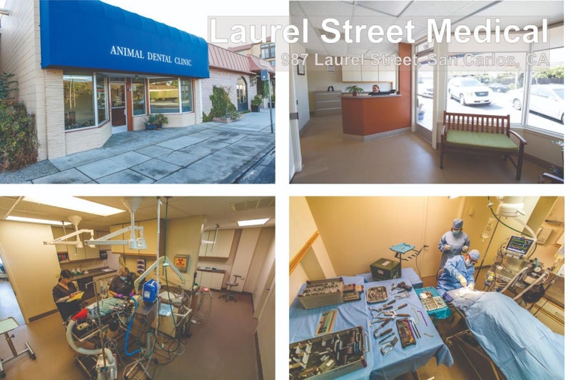 987 Laurel Street