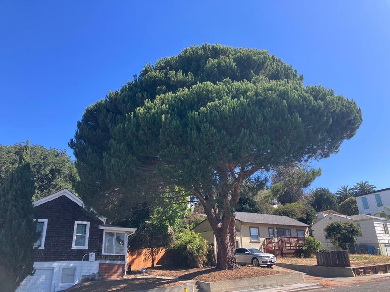 104 Wilson Avenue