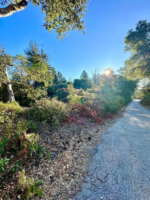 Tiny photo for 10001 West Drive, FELTON, CA 95018 (MLS # ML82039143)