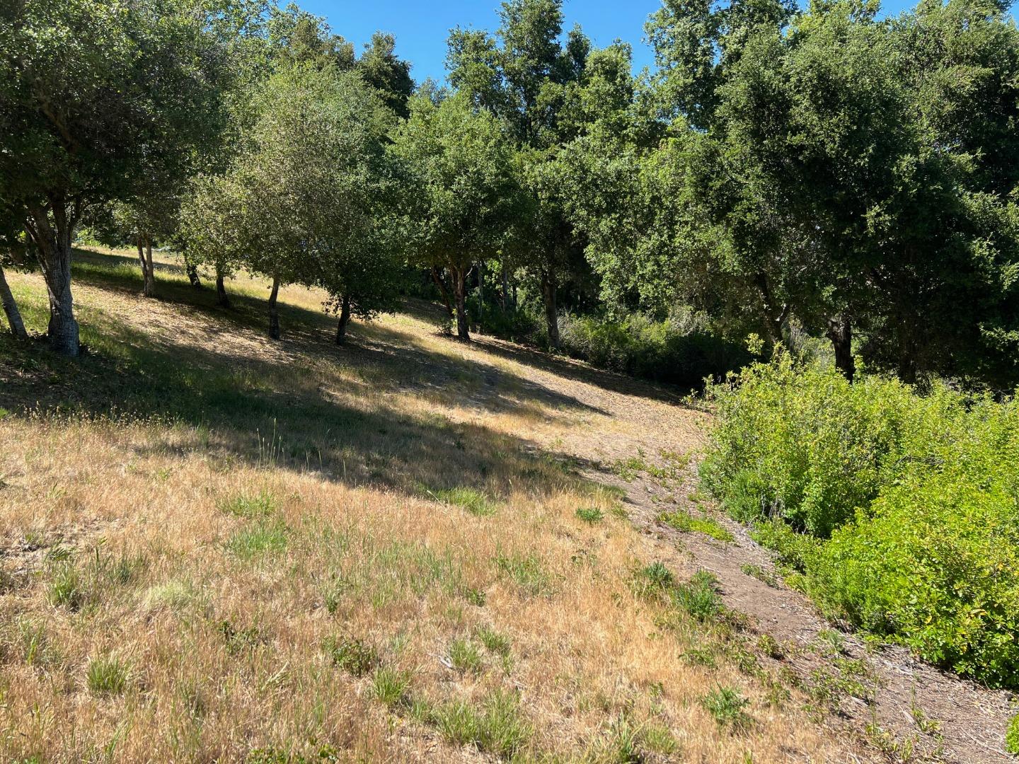 6 Arroyo Sequoia
