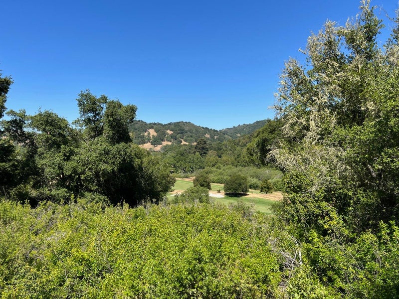6 Arroyo Sequoia