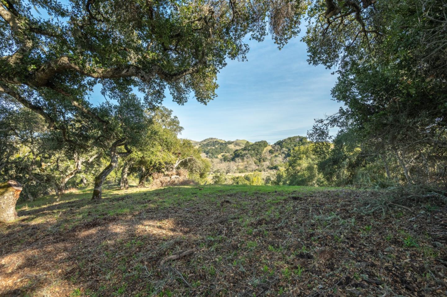 5 Vasquez (Lot 170) Trail