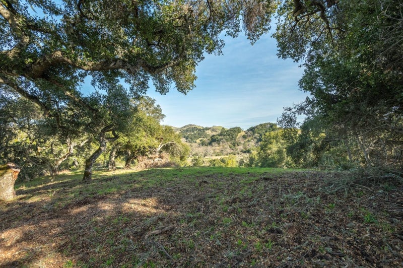 5 Vasquez (Lot 170) Trail