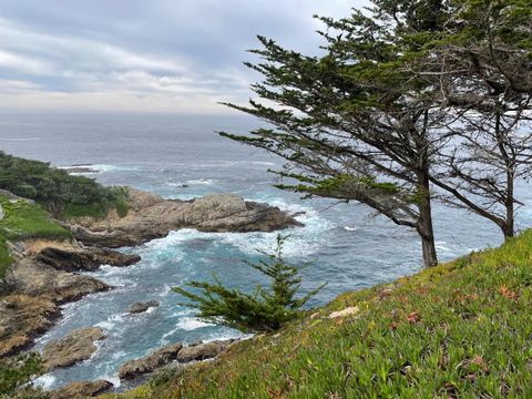 142 Carmel Riviera Drive CARMEL CA 93923