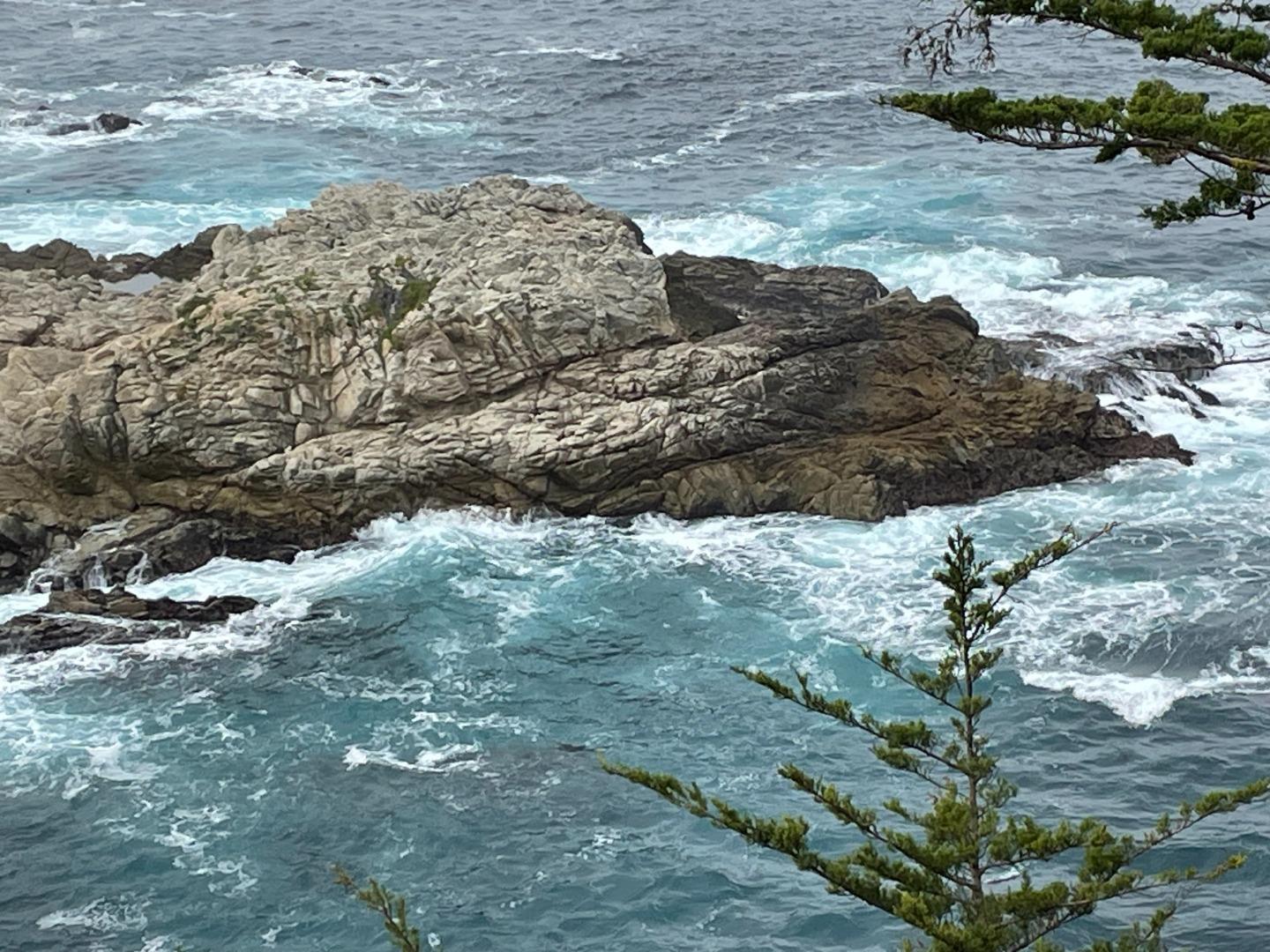 142 Carmel Riviera Drive