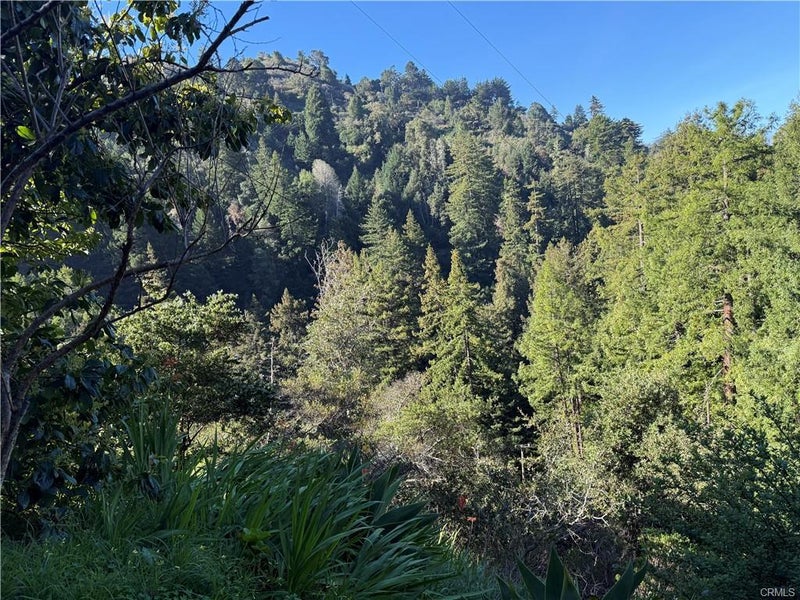 65 Garapatos Redwoods Trail
