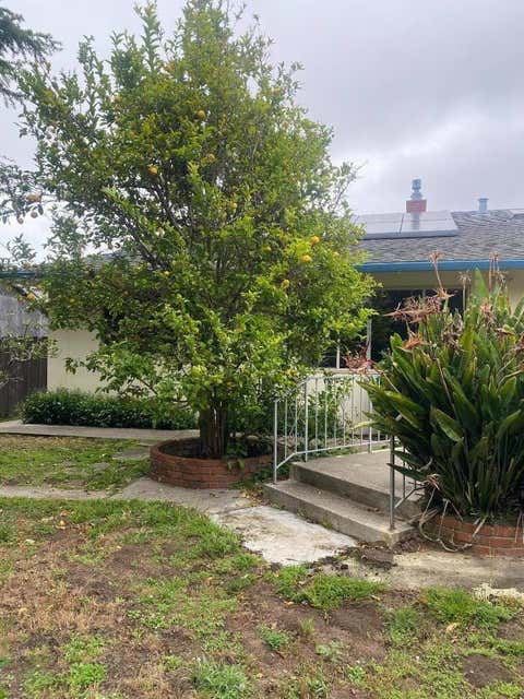 Tiny photo for PACIFICA, CA 94044 (MLS # ML82053725)
