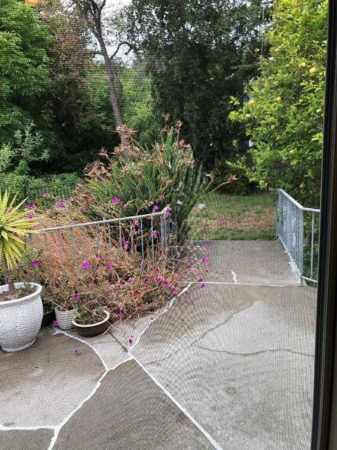Tiny photo for PACIFICA, CA 94044 (MLS # ML82053725)