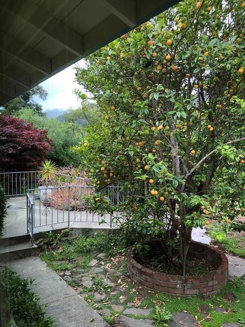 Tiny photo for PACIFICA, CA 94044 (MLS # ML82053725)
