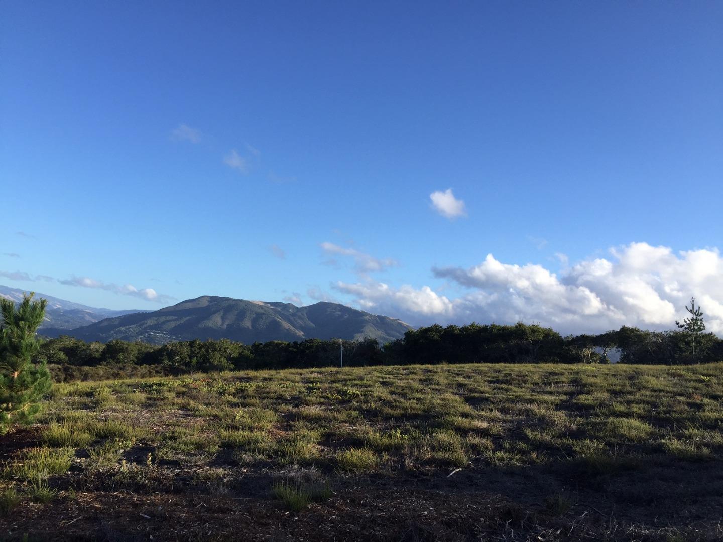 64 Marguerite (Tehama)