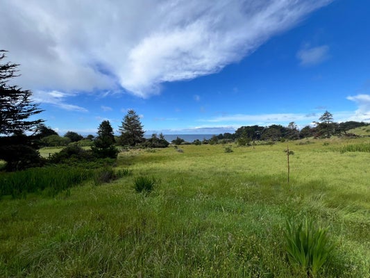 375 SPR CLOSE, THE SEA RANCH, CA 95497 - Image d96276a3fbb73bfb2f904b8ac2ca8df6/3180432342