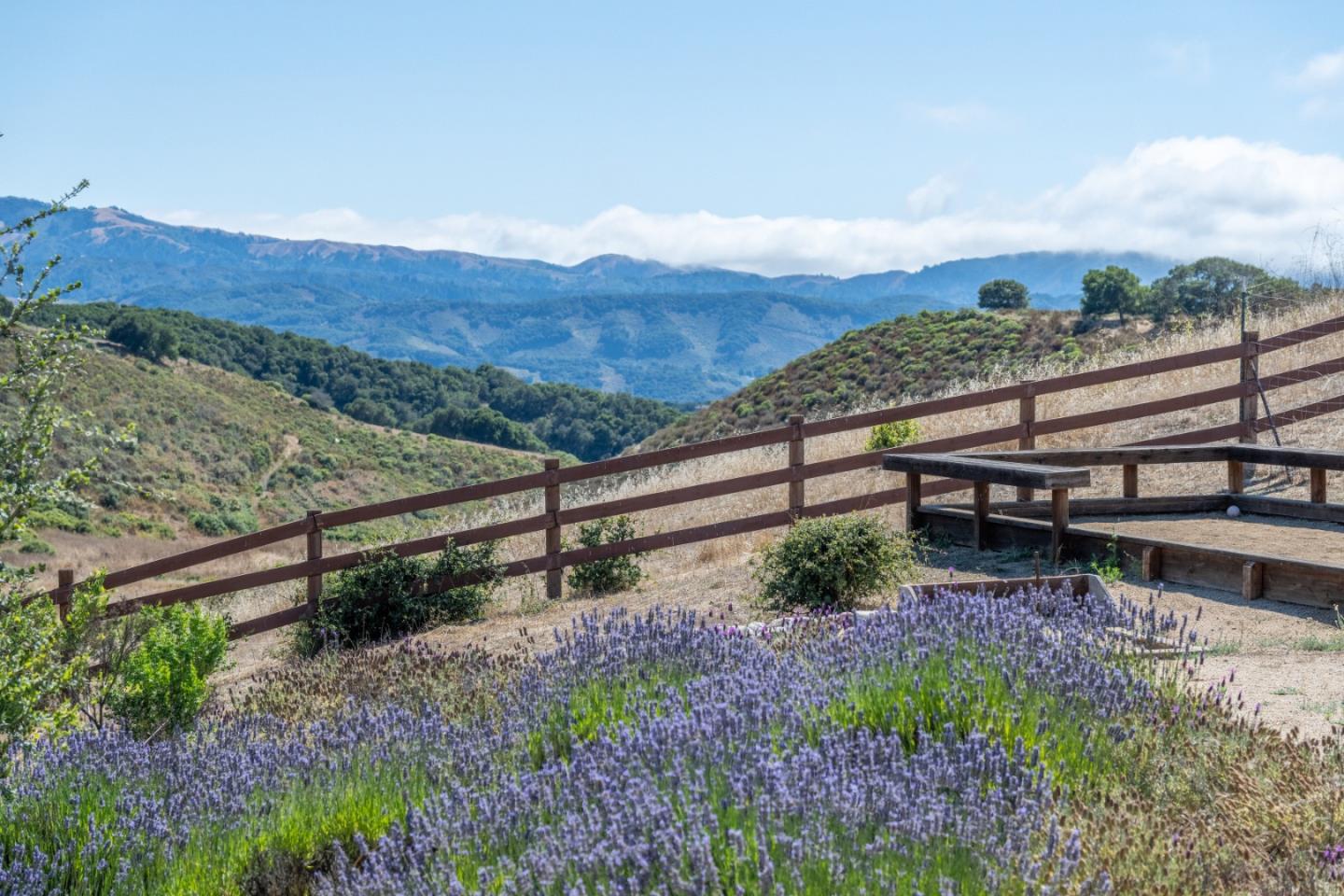 10265 Calle De Robles