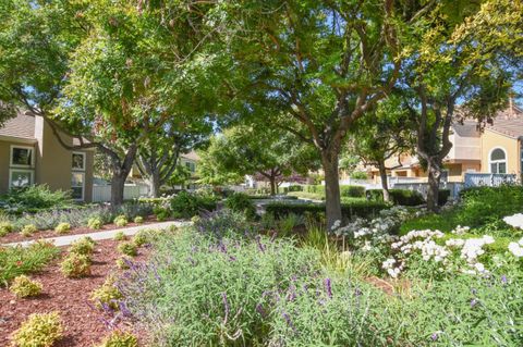 Tiny photo for 6993 Rodling Drive #C, San Jose, CA 95138 (MLS # ML82046461)