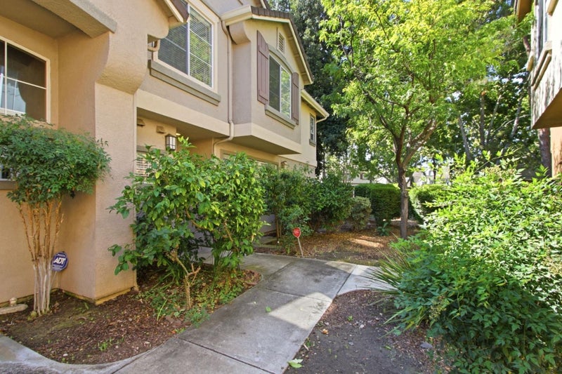 388 Ribbonwood Avenue