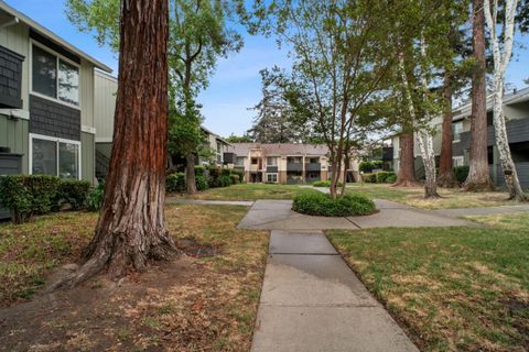 Tiny photo for 2599 Easton Lane #109, San Jose, CA 95133 (MLS # ML82040723)