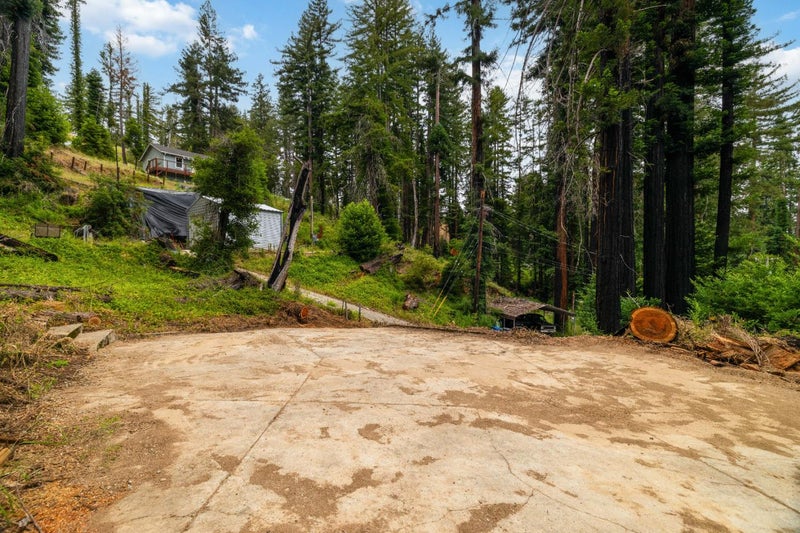 1131 Rambling Road