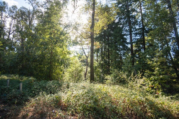 0 MADRONE MADRONE AVENUE, FELTON, CA 95018 - Image dc6c7be1cf948492919b68a73e700b7e/617614459