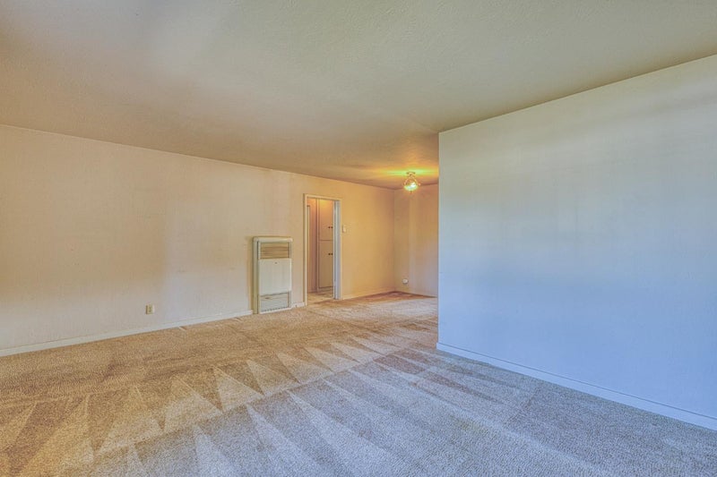 246 Dororo Drive