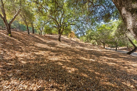 Photo of 16099 Greenwood Road, MONTE SERENO, CA 95030 (MLS # ML82062720)