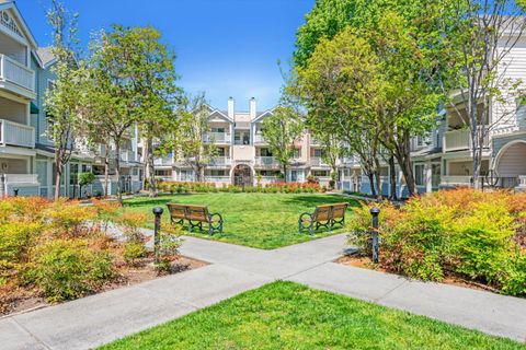 601 Arcadia Terrace 103 SUNNYVALE CA 94085