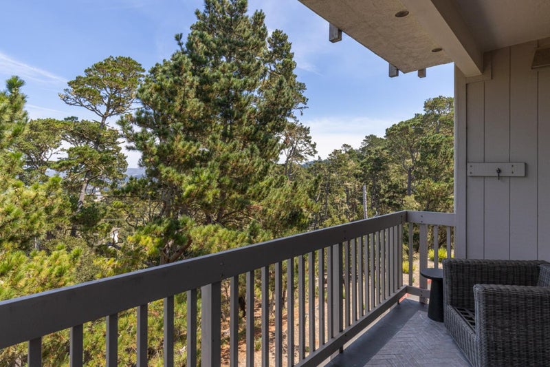 41 Shepherd's Knoll