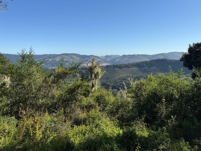 6 Rancho San Carlos (Lot E10) Road
