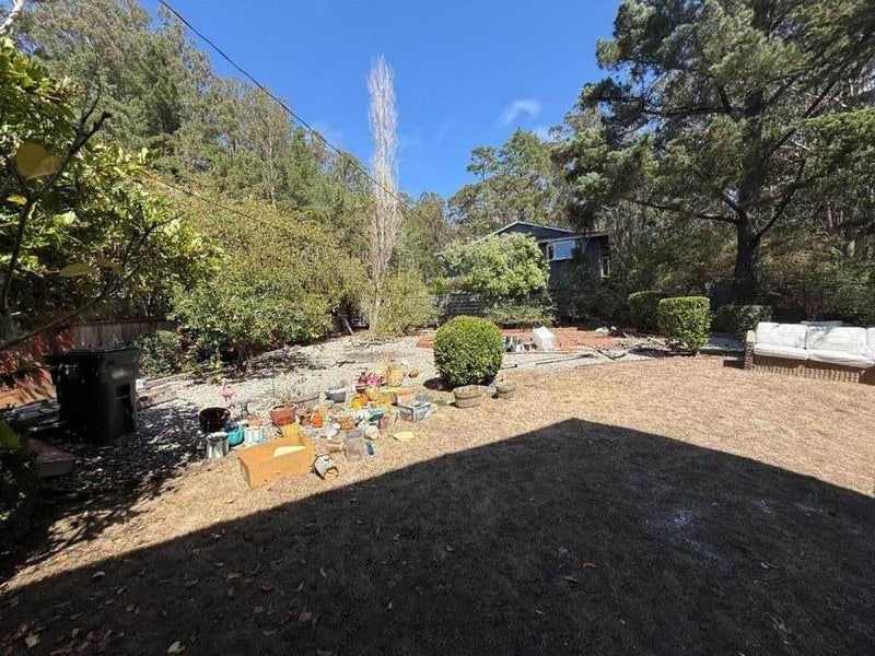 1352 Redwood Way
