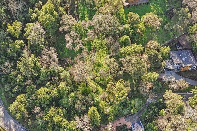 145 Foxwood Road Road